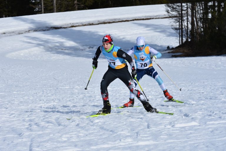 Mateo planica
