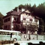 1965. godina