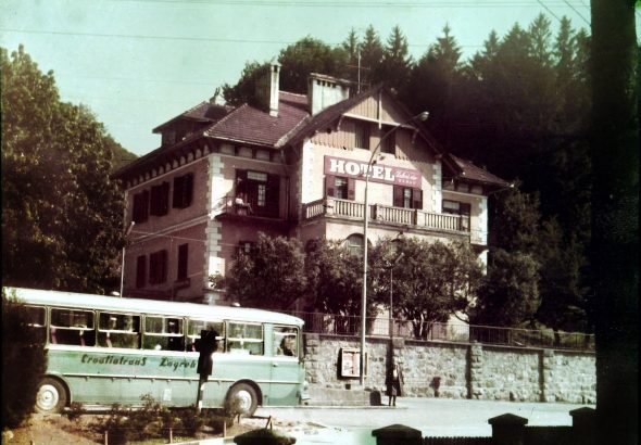 1965. godina